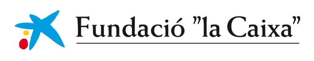 Anar al web de Fundació la Caixa